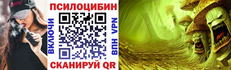 Псилоцибиновые грибы Magic Shrooms  наркошоп  Елабуга 