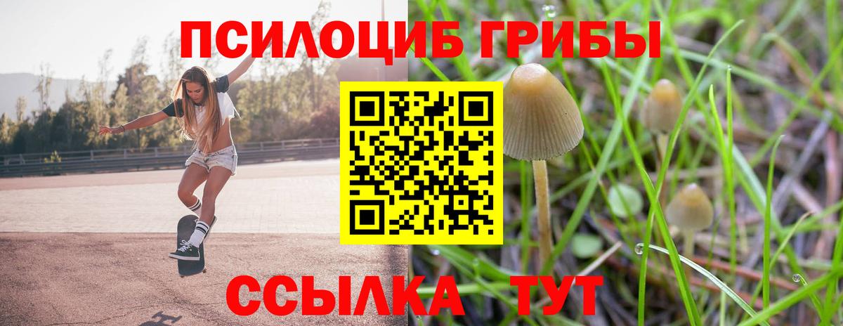 наркотики  Галлюциногенные грибы мицелий  Вход с VPN  Галлюциногенные грибы прущие грибы  Елабуга 